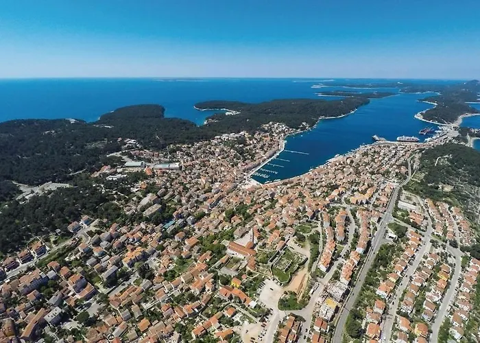 Hébergement de vacances In With Pool, Whirpool, Terrace, Air Conditioning, Wi-fi, Washing Machine 4780-1 Mali Lošinj